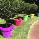 a. Coloured Pot covers