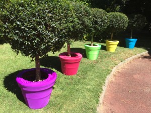 a. Coloured Pot covers
